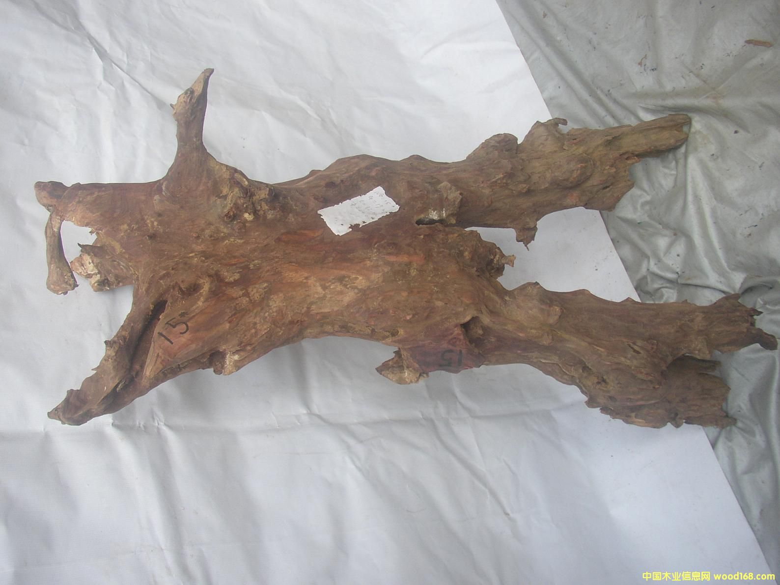 �����S����15#