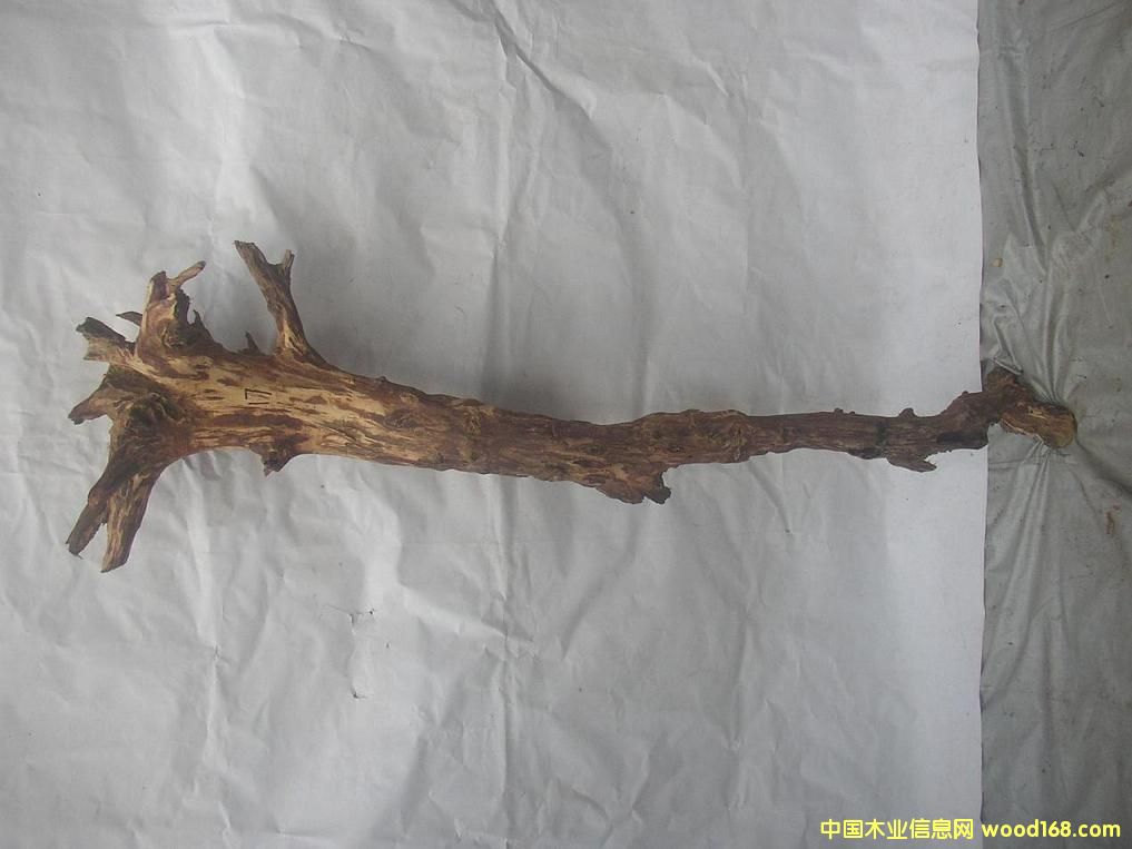 �����S����17#