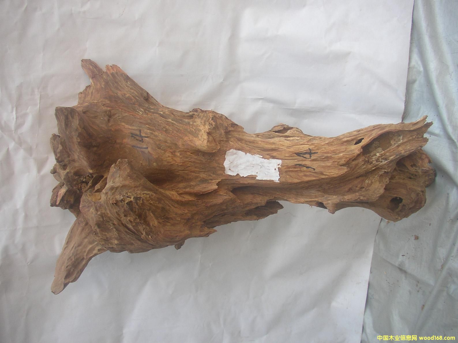 �����S����14#