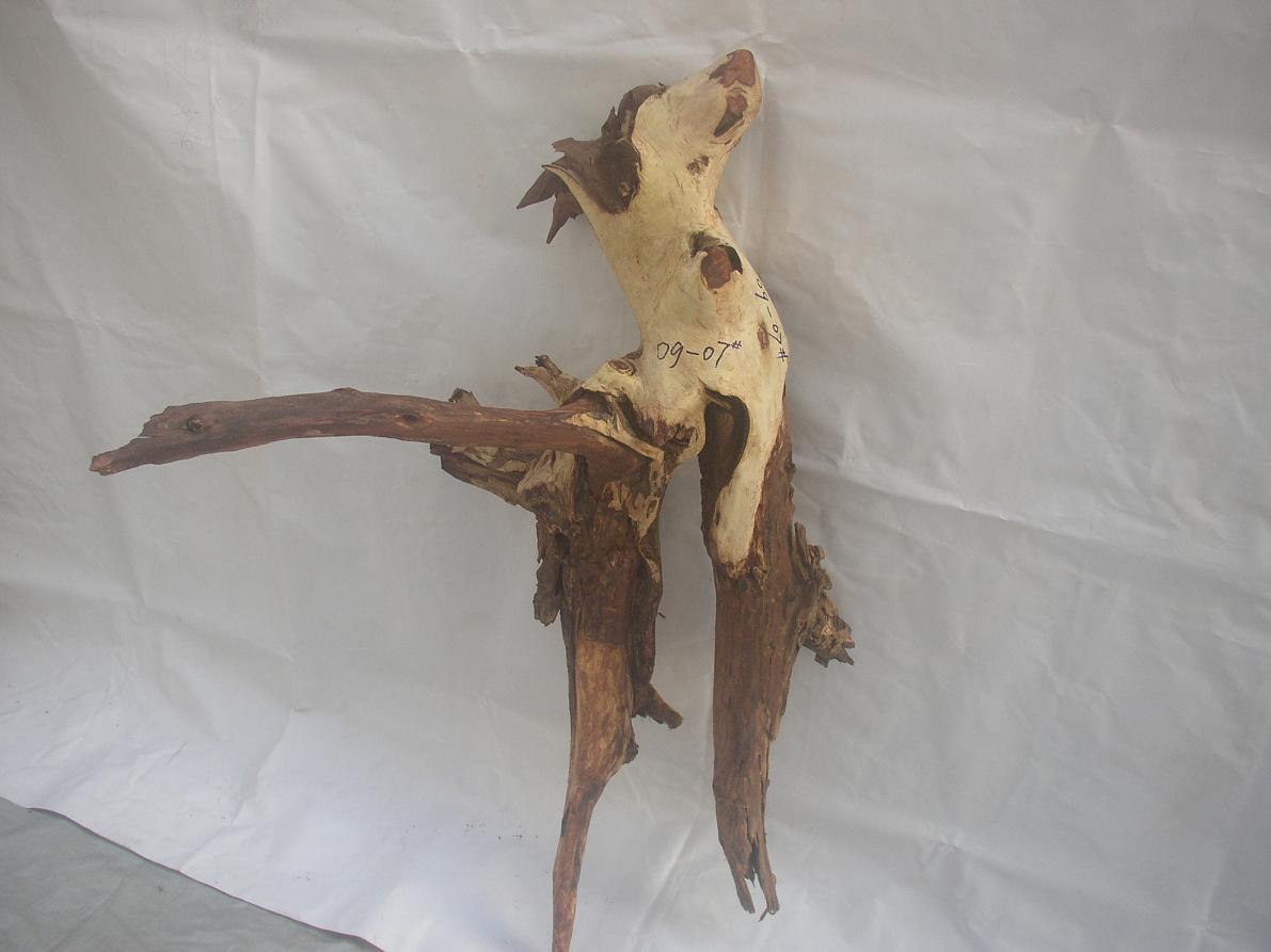 �����S����09-4-17#��Ԕ����B