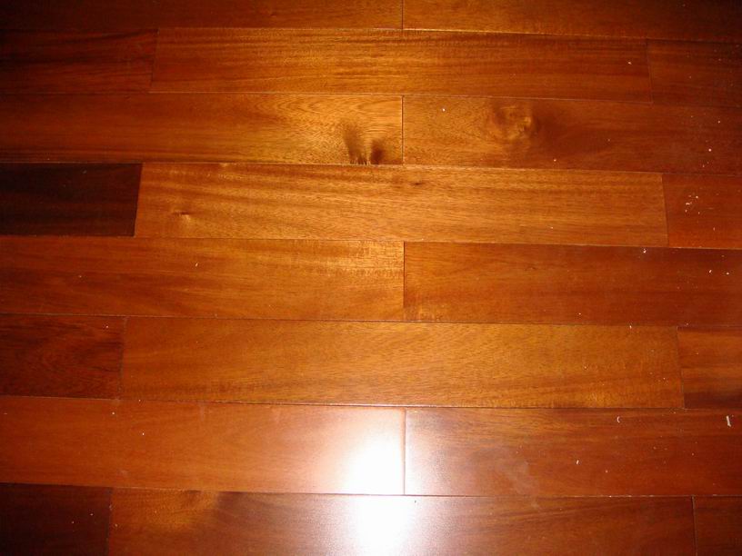 �w�����,���_�غ�ľ�ذ��Ԕ��(x��)��B