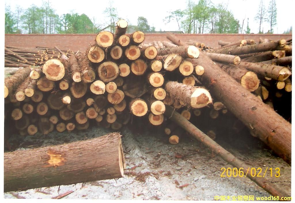 ԭľ��Ԕ��(x��)��B