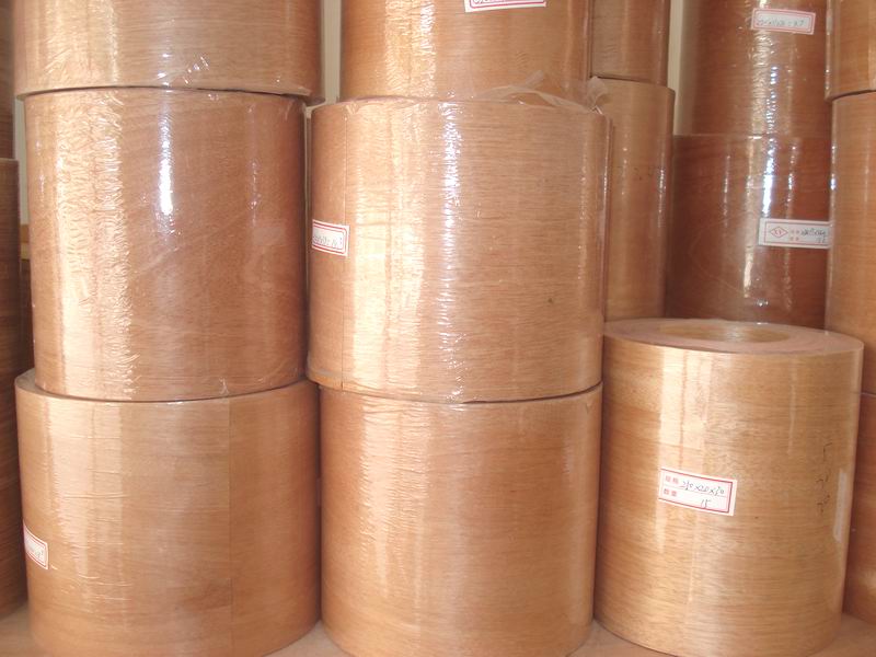 ���Ϙ�ľƤ��Ԕ��(x��)��B