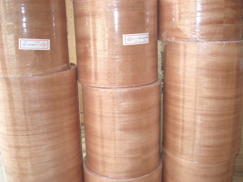 ɳ����ľƤ��Ԕ��(x��)��B