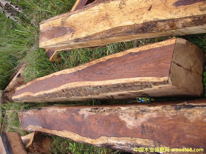 ��֦ľ��Ԕ��(x��)��B