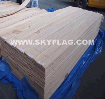 ������ҼҾ��ϴ��N(xi��o)         �{(l��n)�����