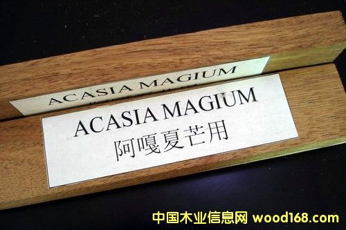 ľ�ذ����ϣ��ذ����