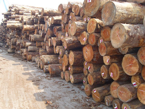 ���Nԭľ��Ԕ��(x��)��B