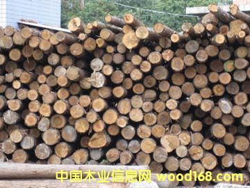 ɼľ��Ԕ��(x��)��B