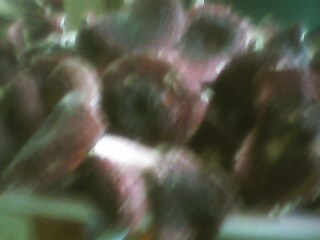 Ұ���t����Ԕ����B