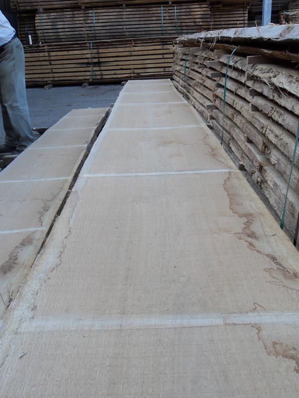 ������2��Ԕ��(x��)��B