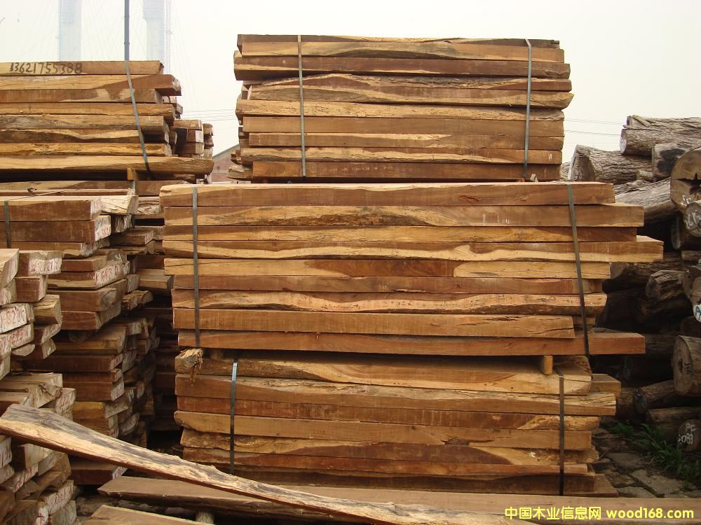 ������֦��Ԕ��(x��)��B