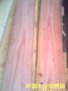 �t��ľ��Ԕ��(x��)��B