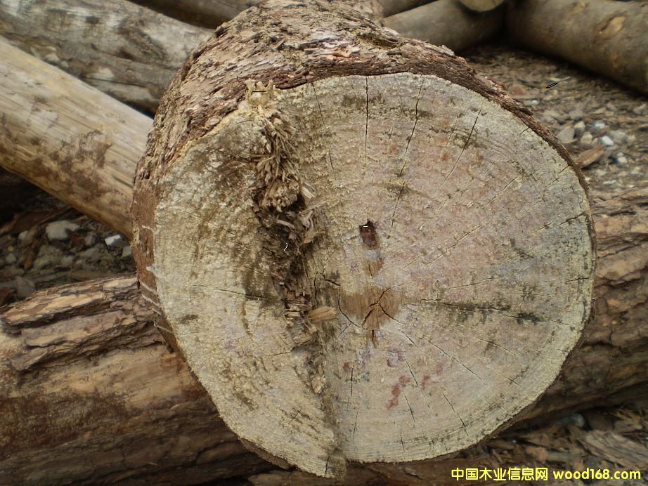 ��ľ��Ԕ����B