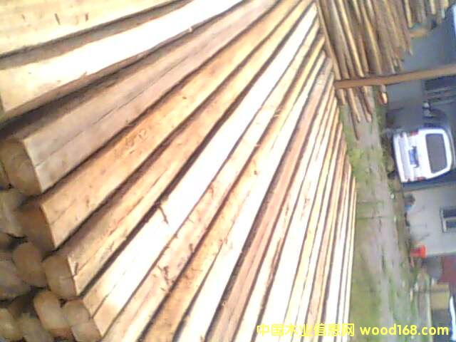 �����ɼľ��Ԕ��(x��)��B