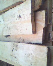 ��ľ�����䡷���