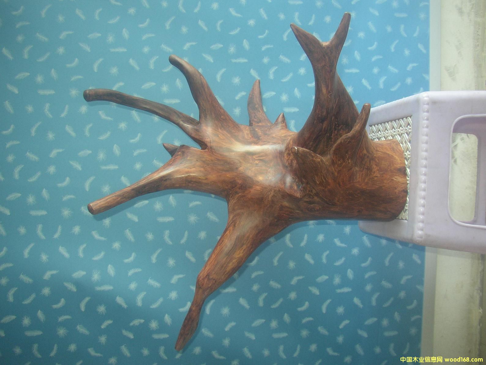 �����S��������Ԕ����B