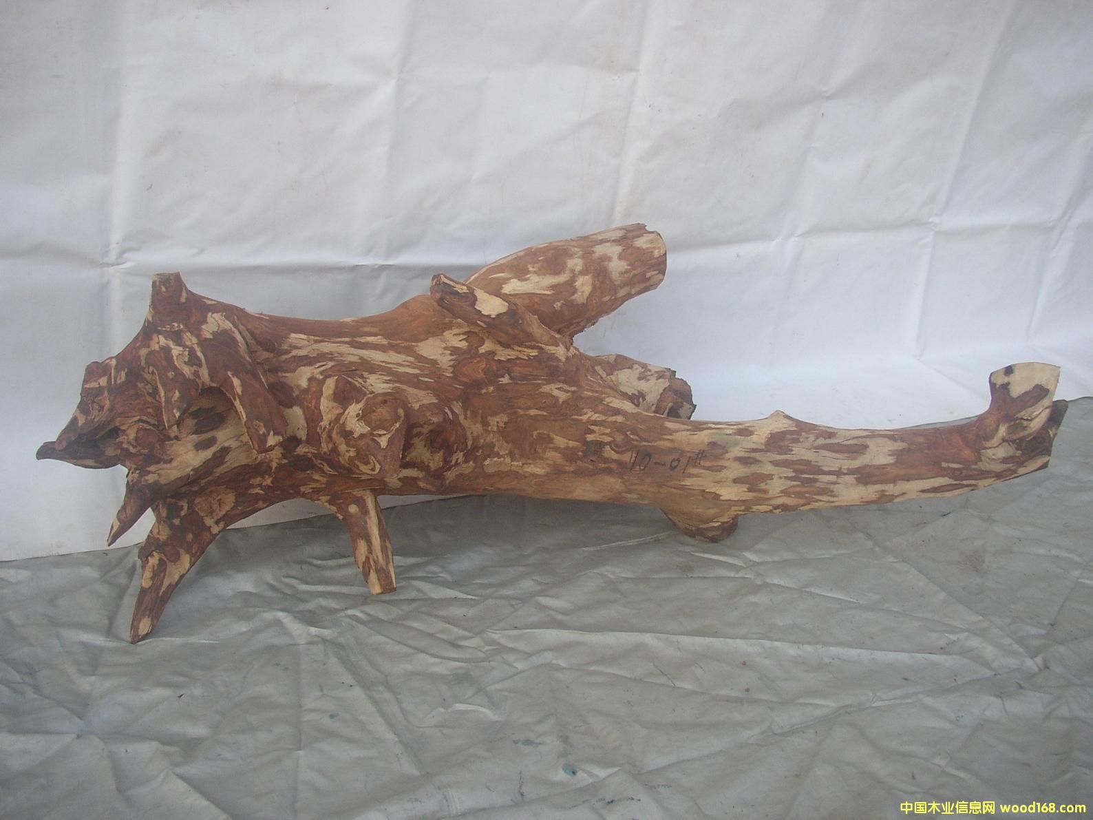 �����S����10-01̖��Ԕ����B