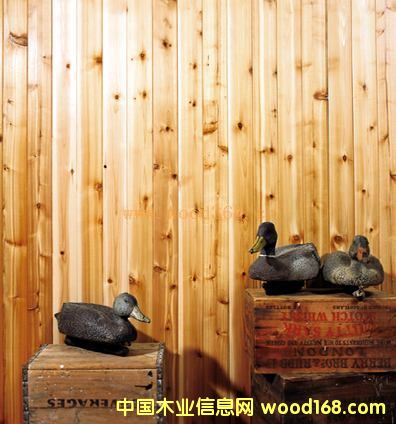 ɼľ�X�Ӱ壨���ɲĈD����Ԕ��(x��)��B