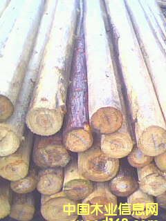 ɼԭľ3��Ԕ����B