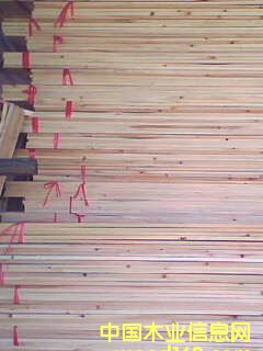 ɼľƴ�塾���Ӱ塿��Ԕ����B