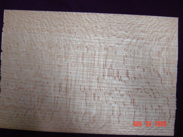 �t��˹��Ԕ��(x��)��B