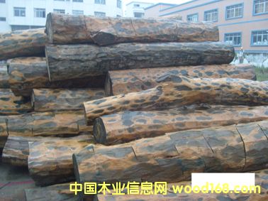 �G̴��Ԕ����B