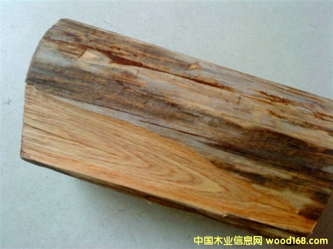 �S�����Ԕ��(x��)��B