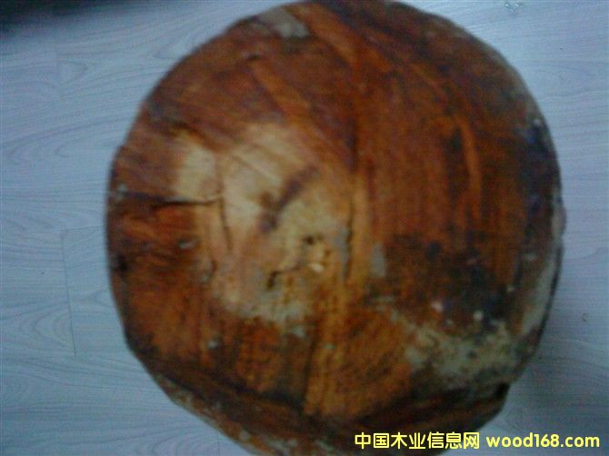 �S�����Ԕ��(x��)��B