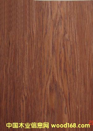 �ŵ����301