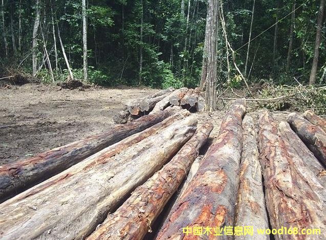 �Fľ����Ԕ��(x��)��B