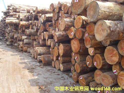 �����ɵ�Ԕ��(x��)��B