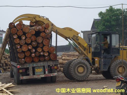 �K��ľ���Ј�(ch��ng)�ӹ��^(q��)��Ԕ��(x��)��B