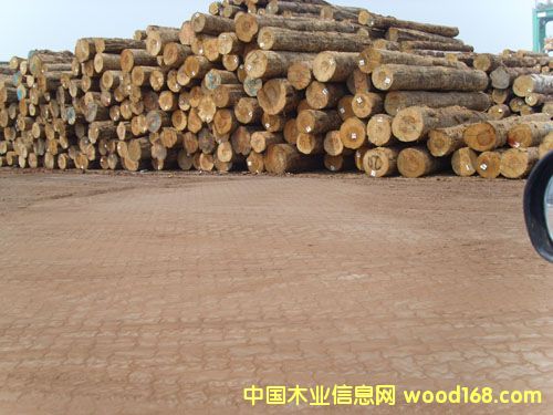 �Ĵ�����ݗ����