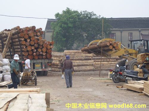 �K��ľ�����I(y��)�^(q��)��Ԕ��(x��)��B