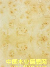 �L(f��ng)Ӱ��Ԕ����B