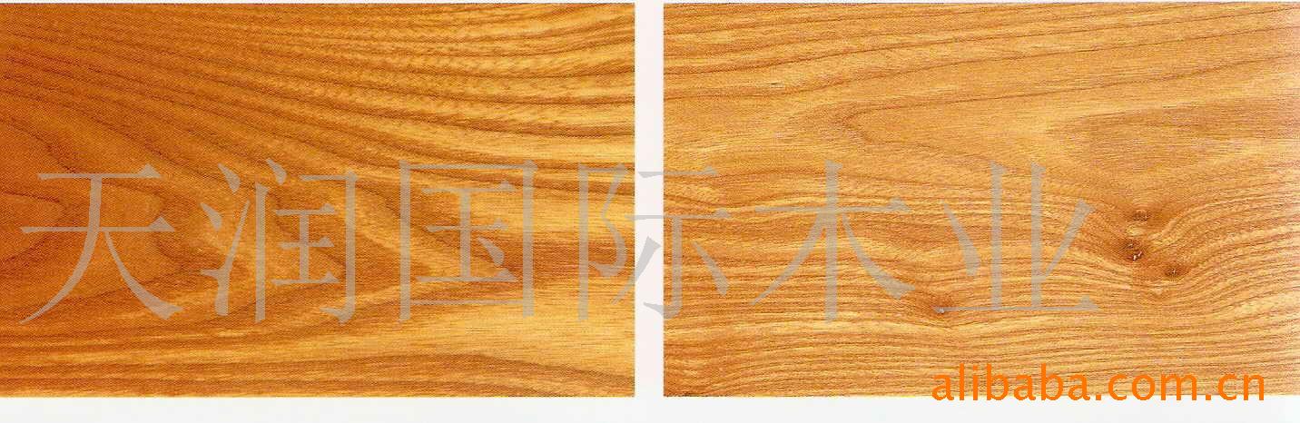 ��ľ��Ԕ����B