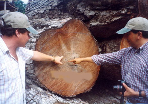 �W���M(j��n)��ԭľ��Ԕ��(x��)��B