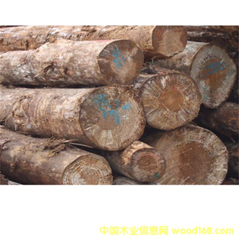 K��(j��)ݗ����ԭľ��Ԕ��(x��)��B