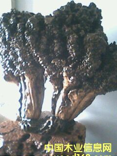 ����[������ؔ(c��i)��