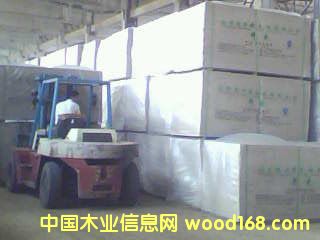 ���ܶȵذ���ģ��}�죩