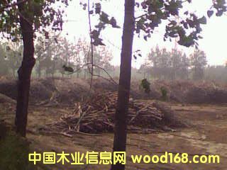 �|����ľ�I(y��)ԭ�ϏS