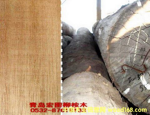 ���u�������ľ��Ԕ��(x��)��B