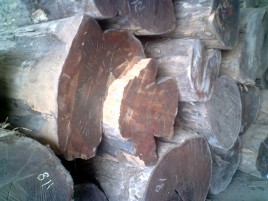 ��ľԭľ����Ĵ󷽵�Ԕ��(x��)��B