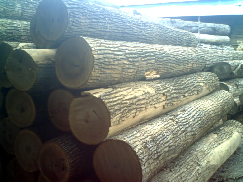 ˮ����ԭľ����ĵ�Ԕ��(x��)��B