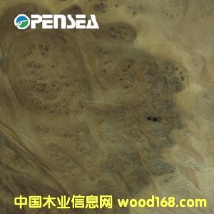 �S��������ľƤ��Ԕ����B