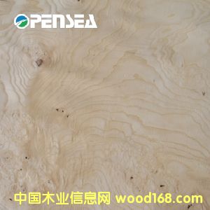 ��˨����ľƤ