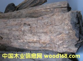 �ϵȞ�ľԭ�ϵ�Ԕ��(x��)��B