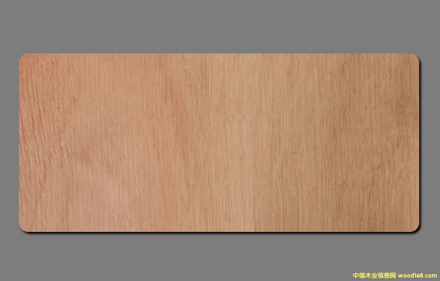 ��ľ�װ� ��Ԕ��(x��)��B