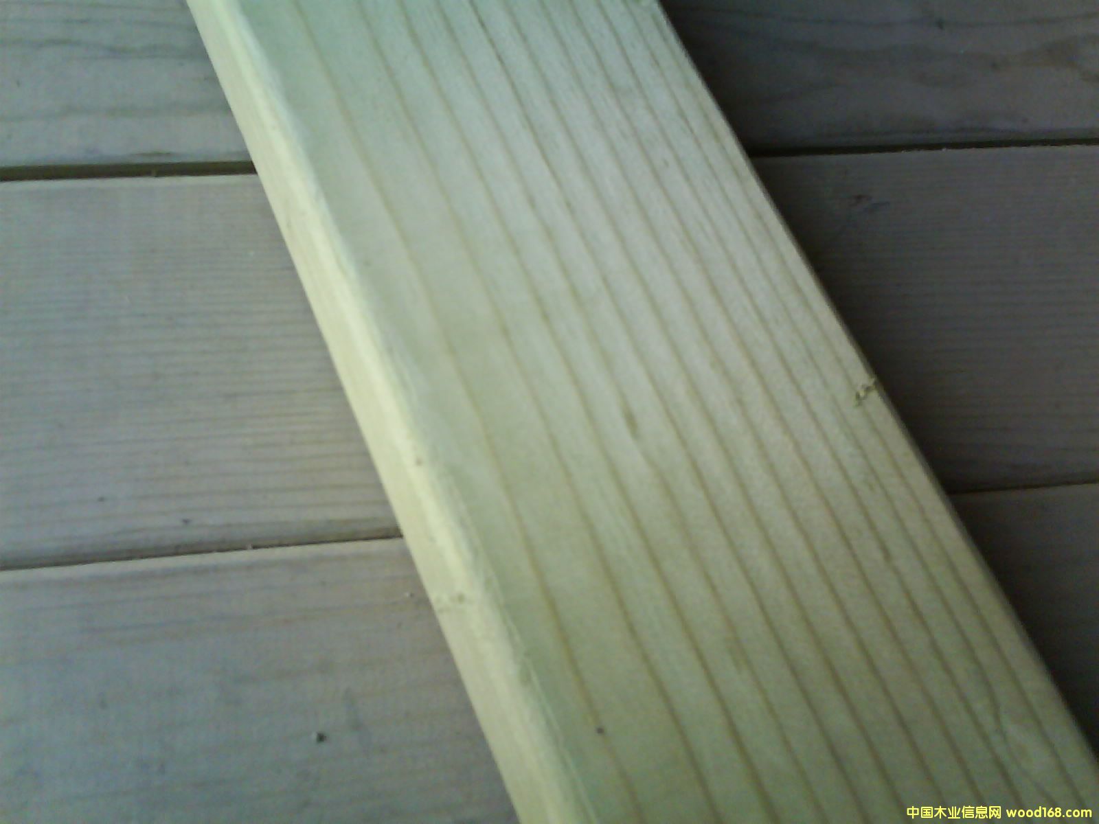 ���B����ľ��Ԕ��(x��)��B